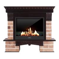 Биокамин в портале SteelHeat RS, стекло, стемалит Биокамин в портале SteelHeat RS, стекло, стемалит